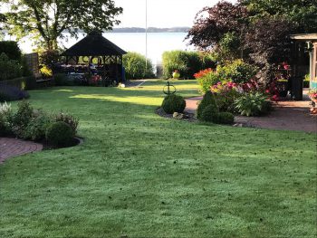 Sommergarten im Morgentau